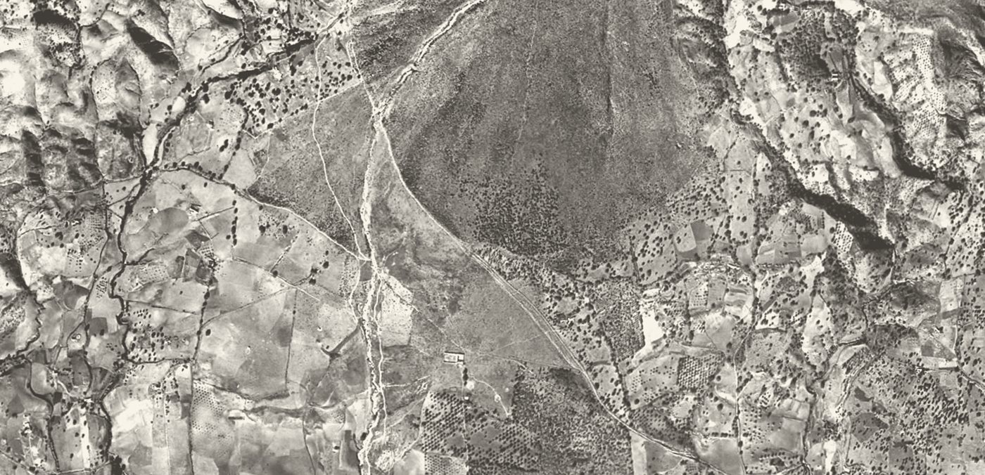 The Camoján hillside in 1956, terraces and the arroyo