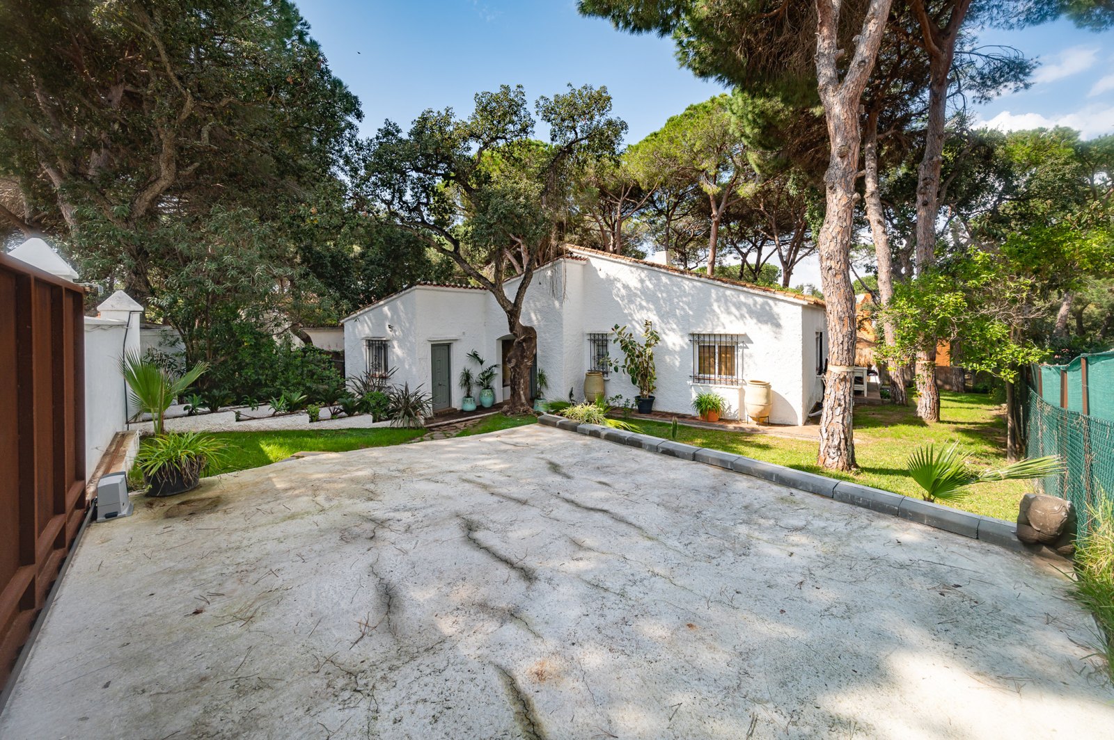 Pine woods above the coast road at Elviria, Marbella