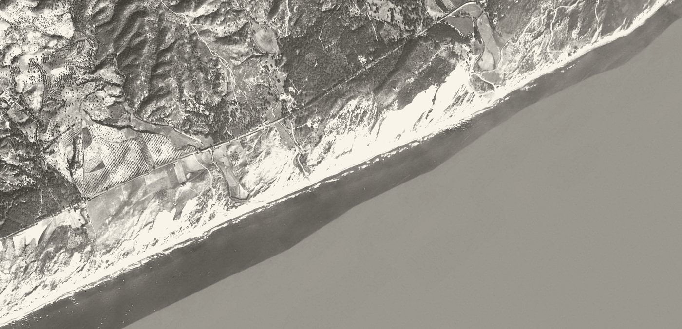The Elviria coast in 1956, pine woods, field boundaries and the coast road