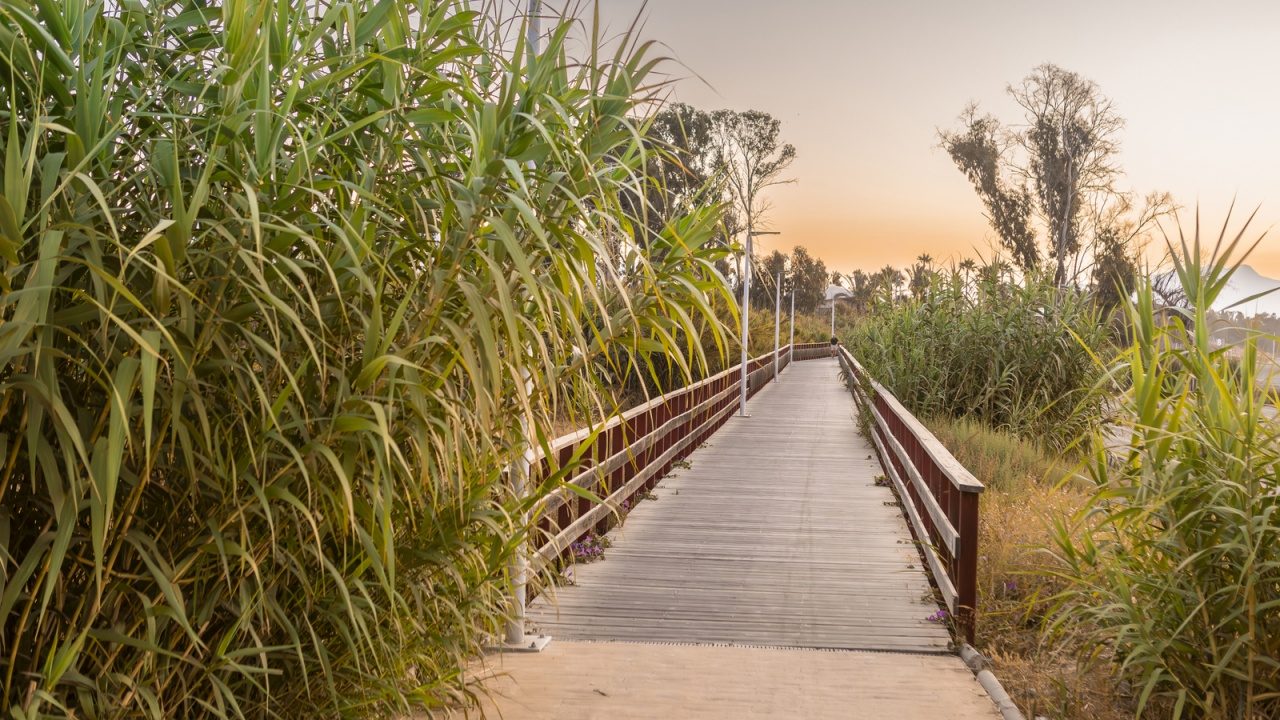 Estepona Corredor Litoral | The Last 3 Sections of the Coastal Path