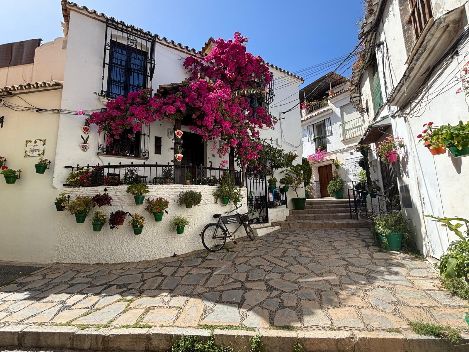 A corner of the old quarter of Estepona, bougainvillea over the cobbles and pots on the white walls