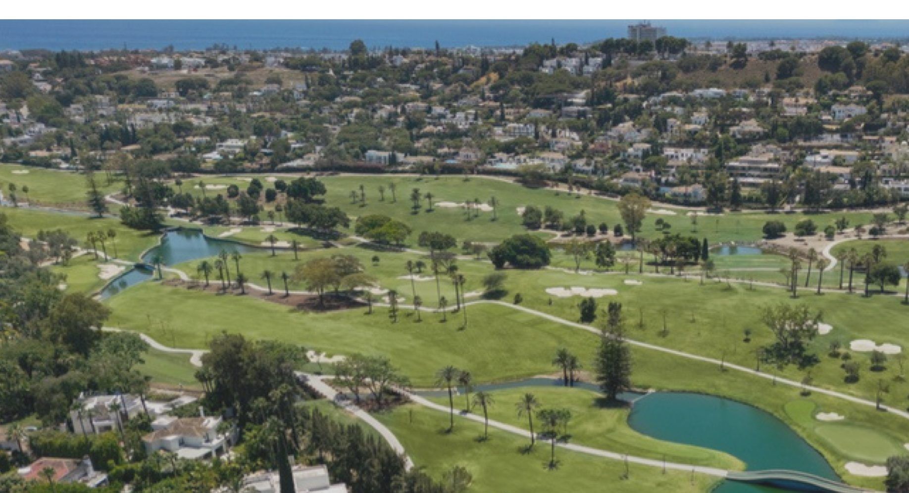 Estepona property market report Q1 2025