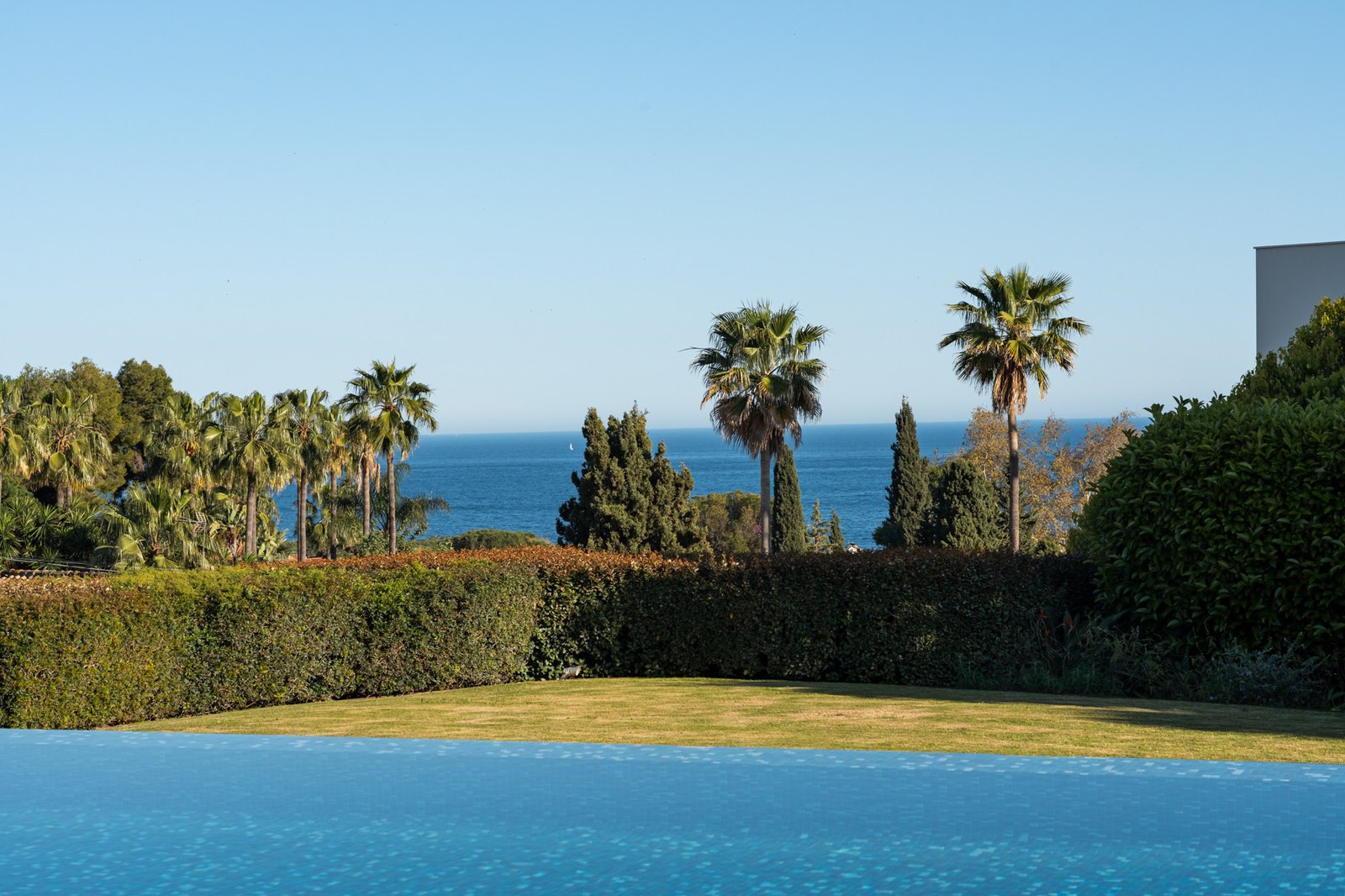 South from a garden in La Carolina, Marbella, over the palms to the Mediterranean
