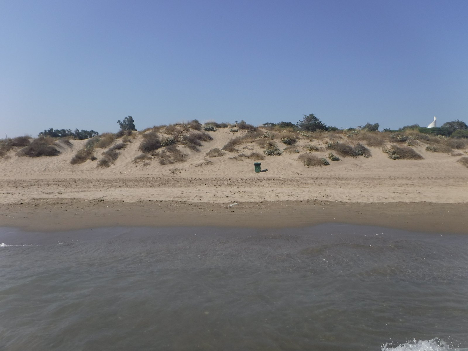 The protected dune ridge on the beach at Las Chapas, Marbella. Photograph: Tyk, CC BY-SA 4.0.