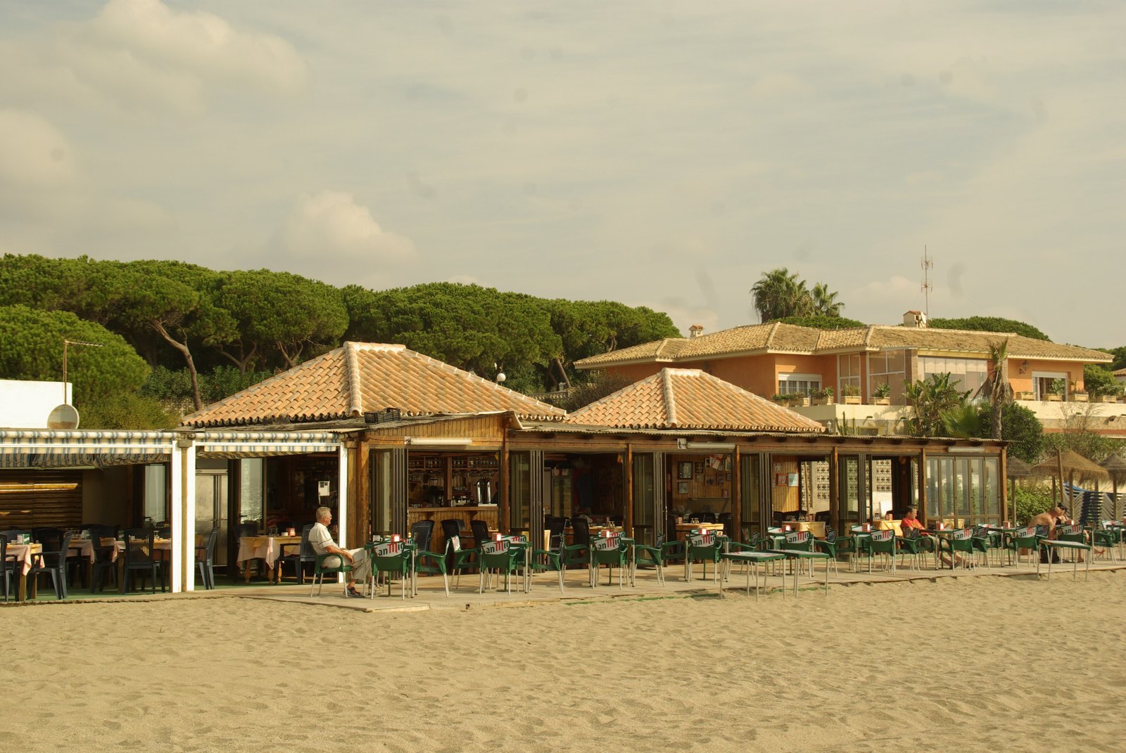 The pine belt behind the beach at Las Chapas, Marbella. Photograph: Concepción Amat Orta, CC BY 3.0.