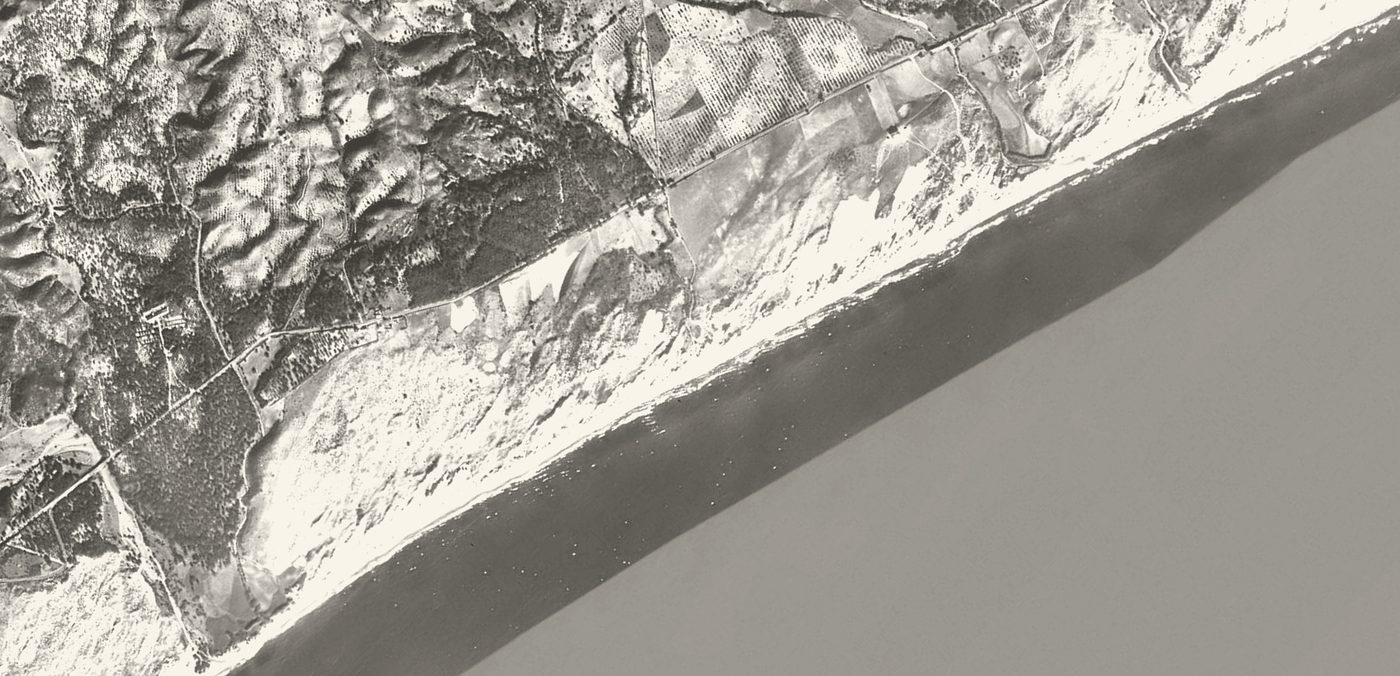 The Las Chapas coast in 1956, field boundaries, the pine belt and the coast road
