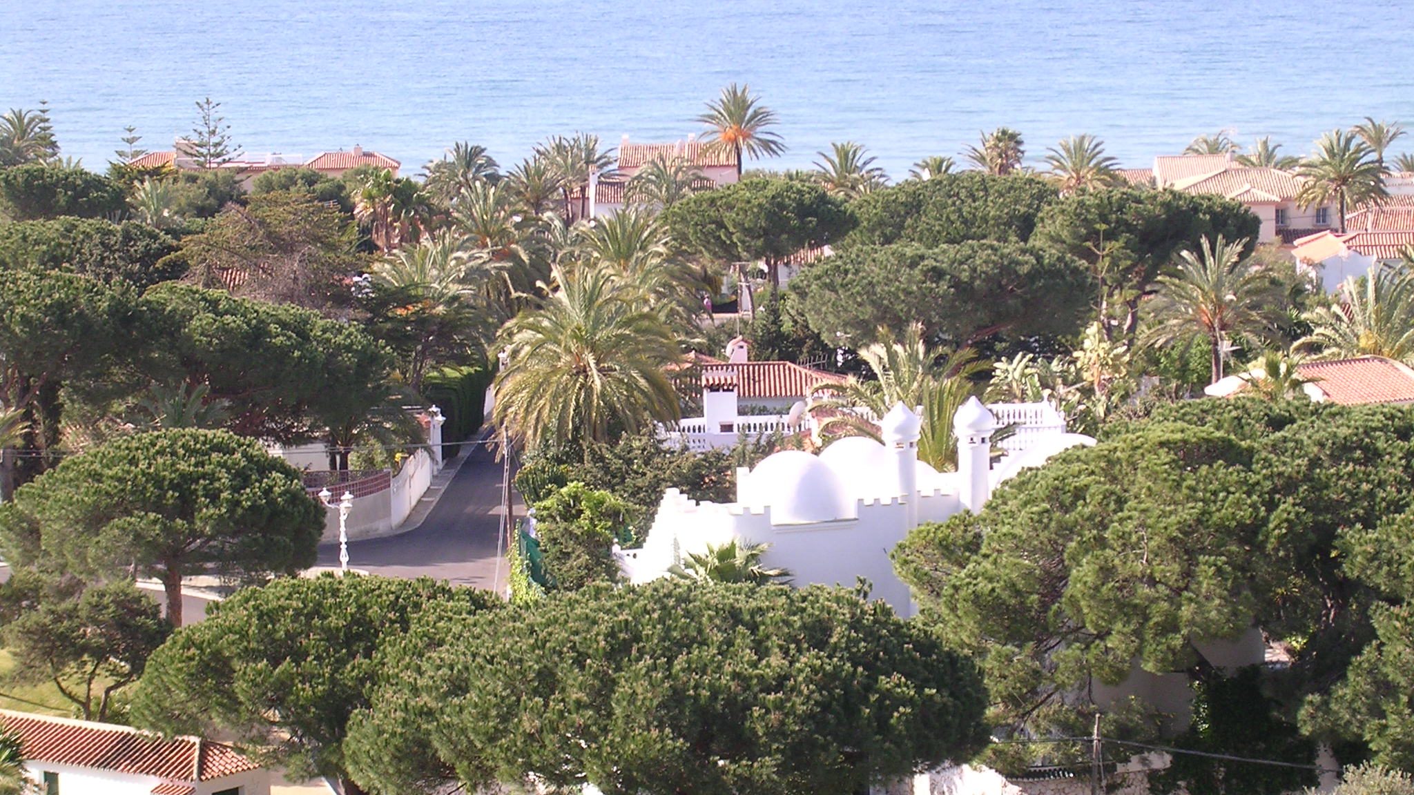 The Marbesa grid from above: umbrella pines and low white houses with a street running down to the sea