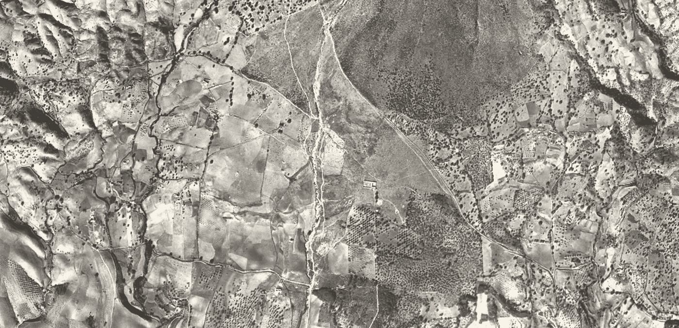 The Nagüeles hillside in 1956, orchards and terraces