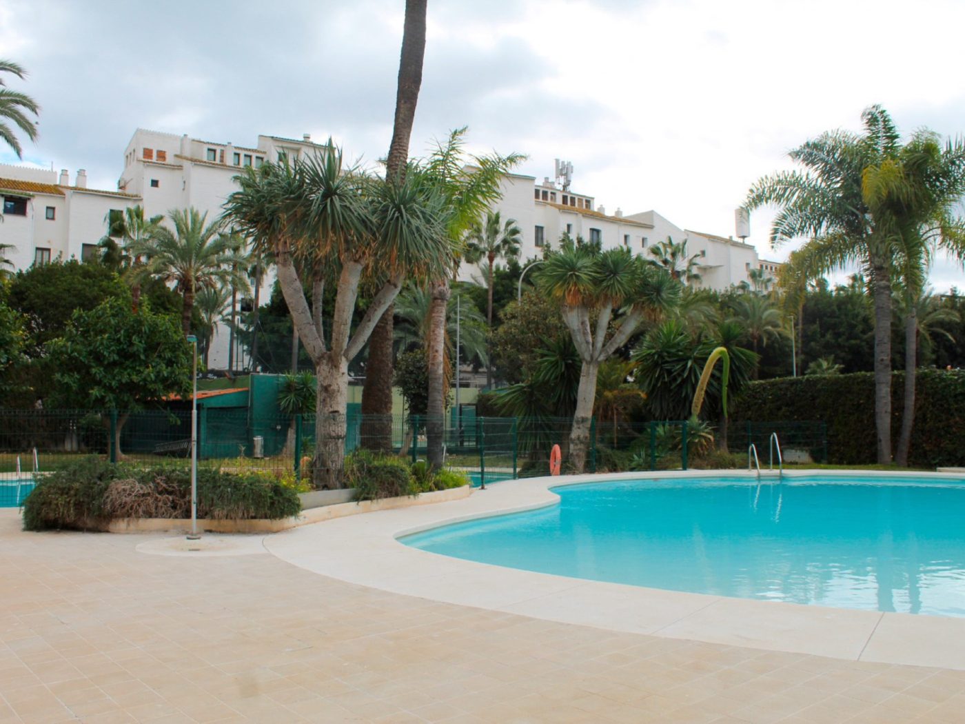 A community pool among palms in Puerto Banús