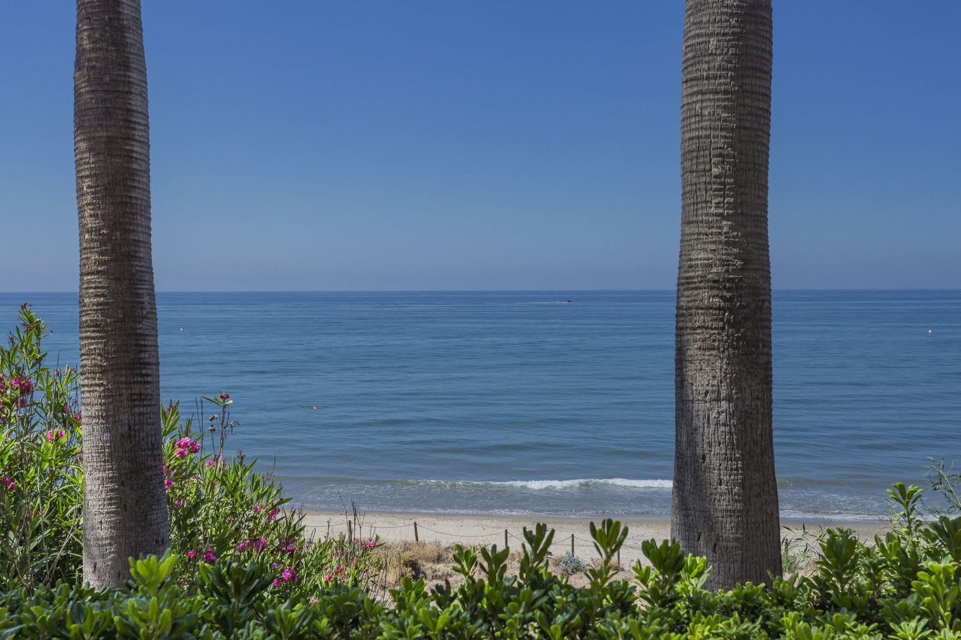 The beach at the foot of the Río Real valley, seen through the palms from a frontline garden
