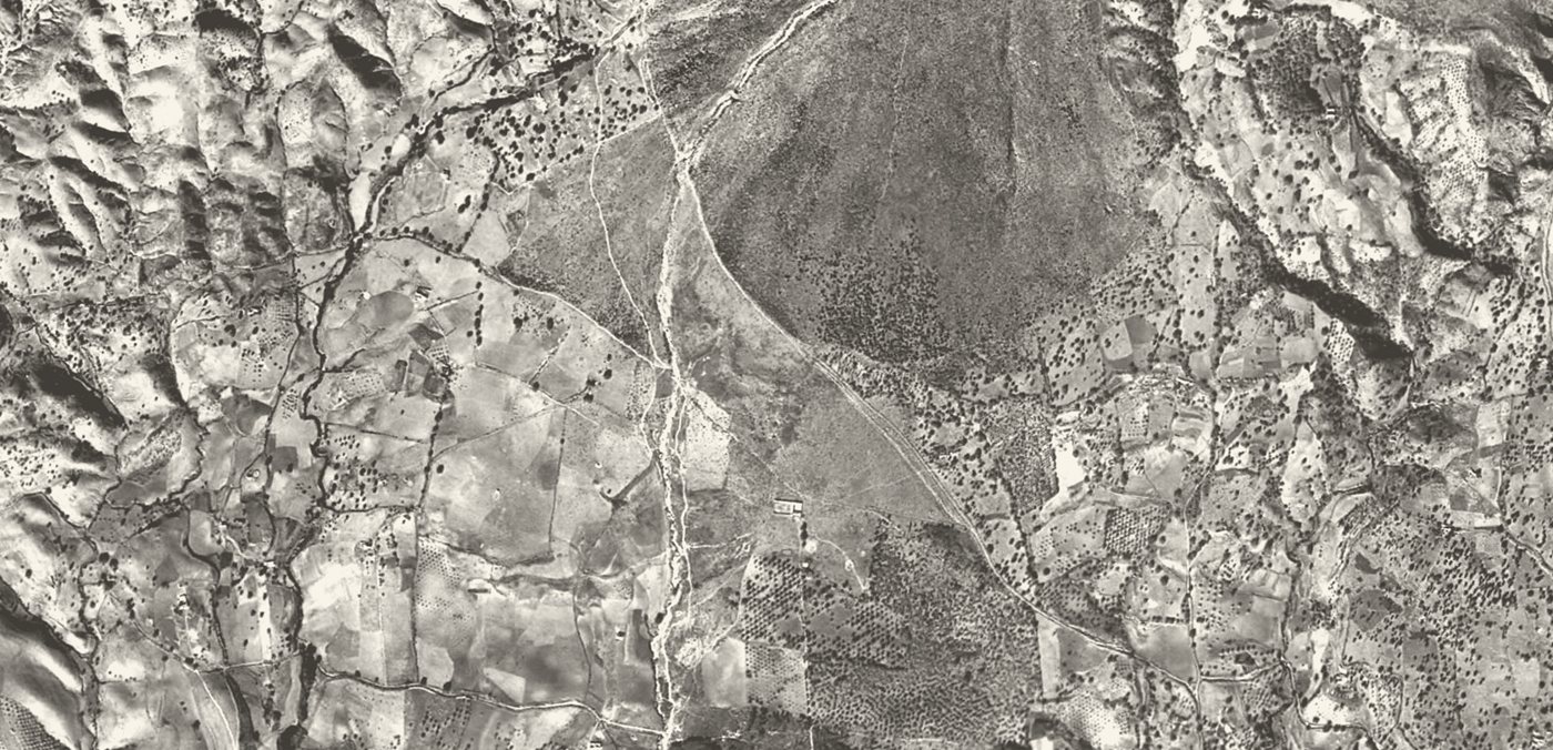 Sierra Blanca hillside in 1956, olive terraces and field boundaries