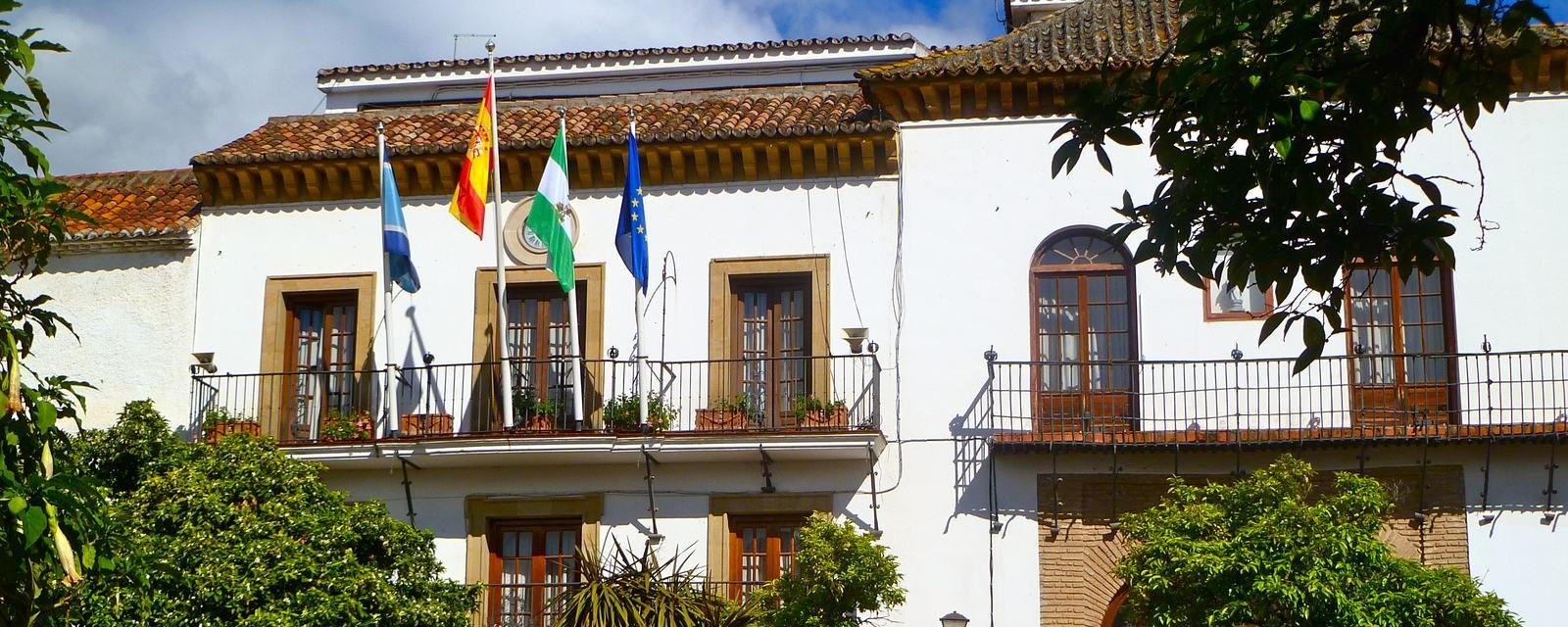 Marbella town hall, where the plenary votes on the general plan