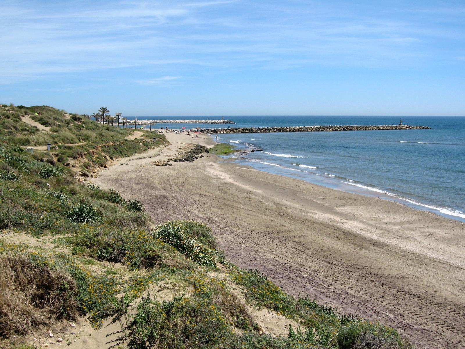 The Artola dunes and Cabopino beach on Marbella’s eastern coast