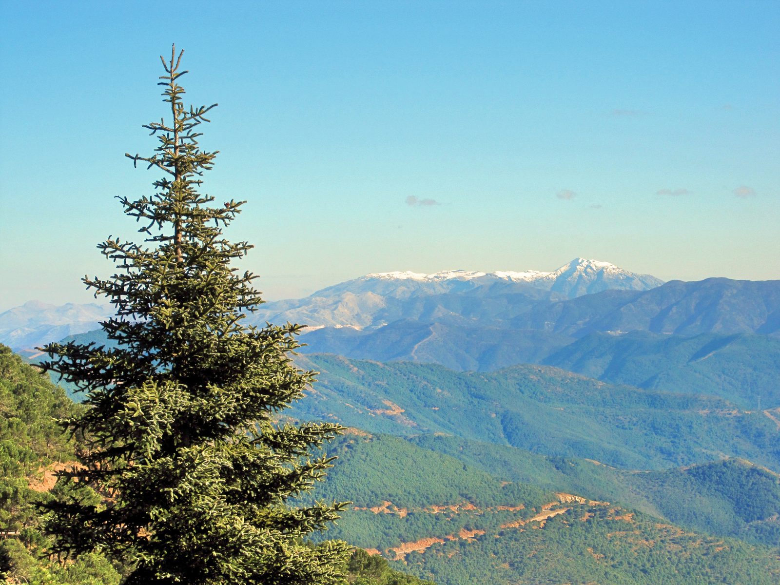 View from Sierra Bermeja above Estepona towards the inland mountains