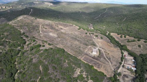 Land in Honda Cabada, Manilva, Malaga