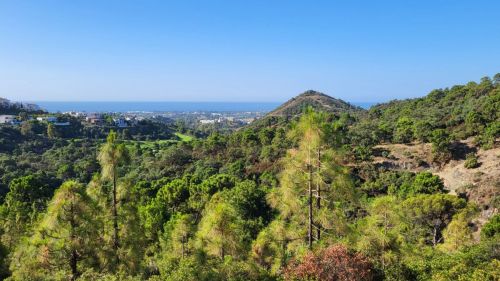 Exclusive Coastal Private Estate Opportunity