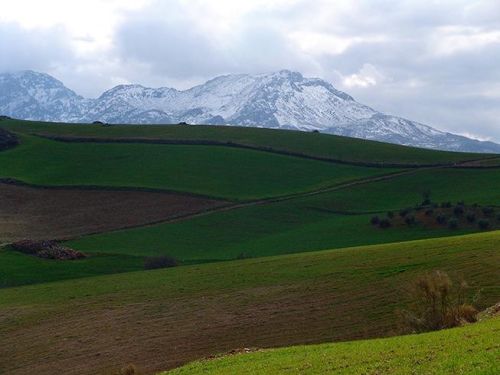 Impressive country estate close to Málaga, possibility to build