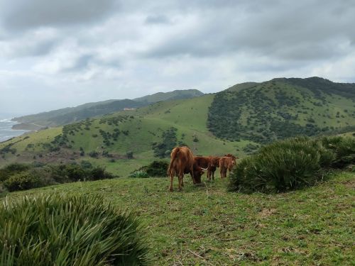 Unico y especial, Finca en Traifa