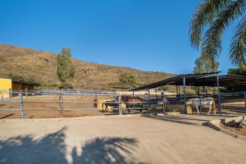 AMAZING EQUESTRIAN PROPERTY 15 MINUTES FROM THE BEACH