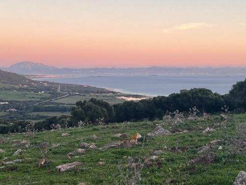 Plot for sale in Tarifa